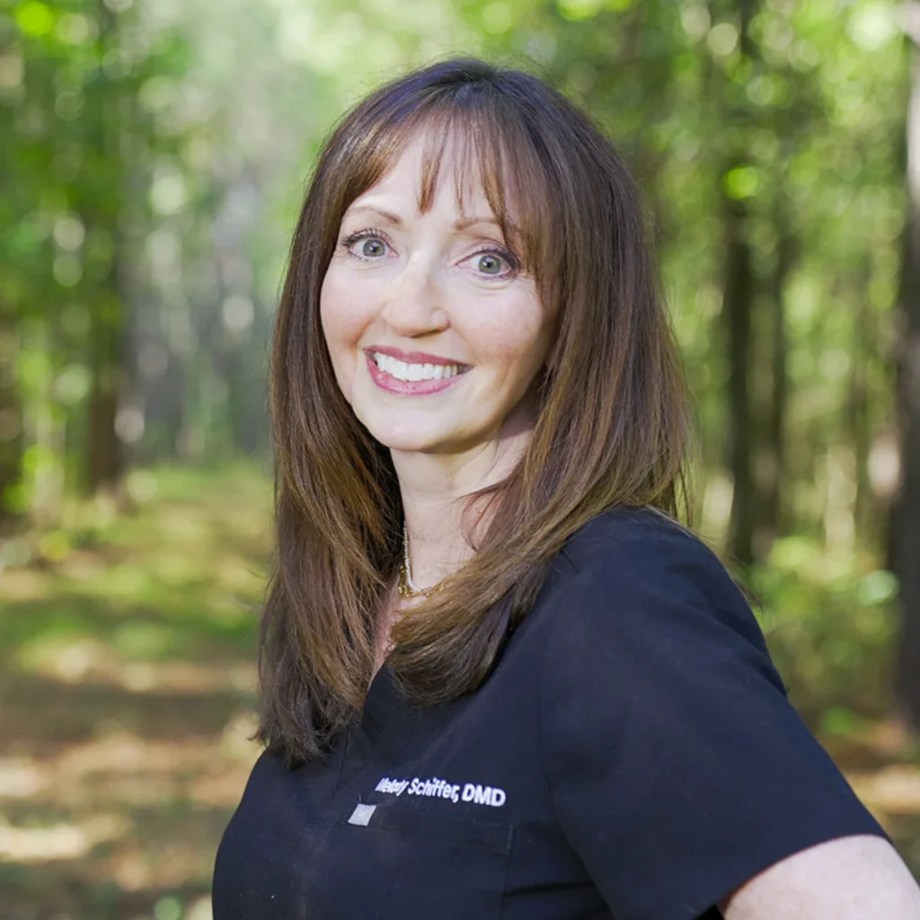 Dr. Melody Schiffer - Implant dentist in Atlanta at All On Implants Atlanta